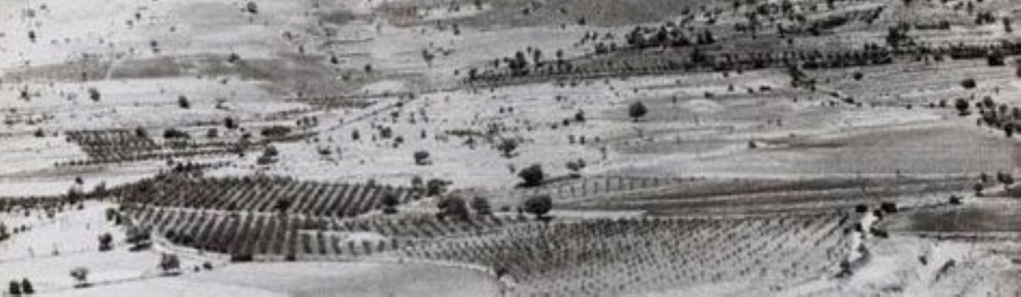 Image of a desert
